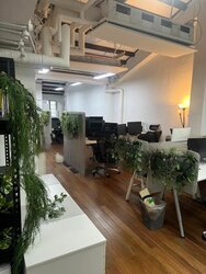 Pekin Street (D1), Office #456909001